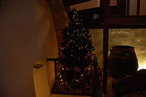 発汗風呂付きアパート、14号