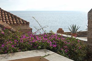 二階建ての部屋、19号